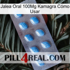 Jalea Oral 100Mg Kamagra Cómo Usar viagra3